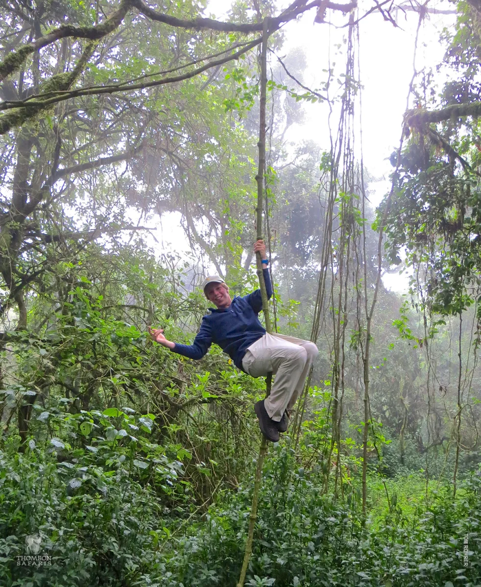 Machame Rainforest
