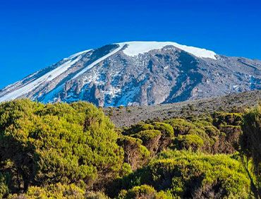 Kilimanjaro Default