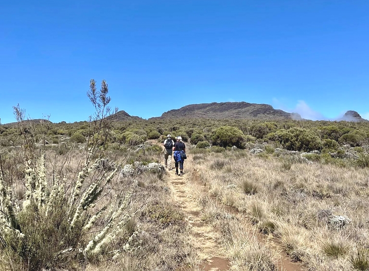Shira Plateau