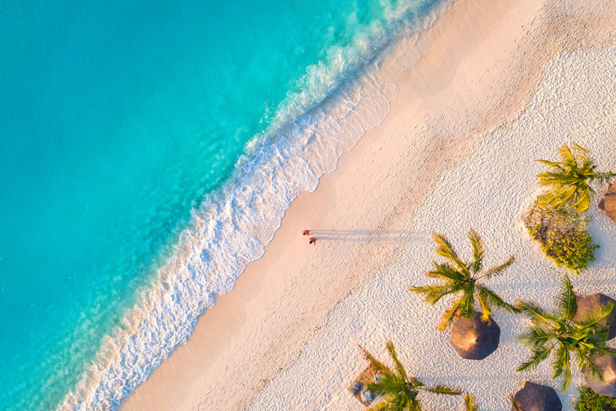 Zanzibar Blog