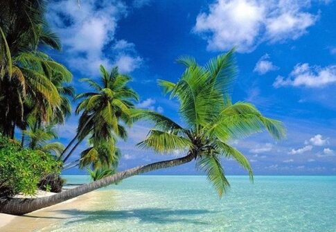 Zanzibar beach view